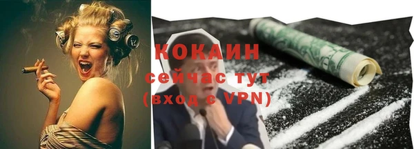ECSTASY Елизово