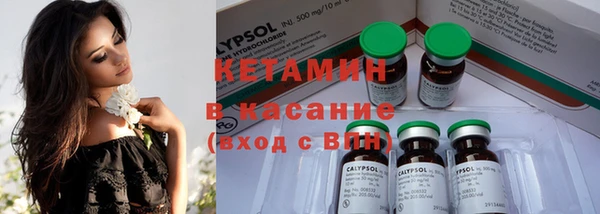 ПСИЛОЦИБИНОВЫЕ ГРИБЫ Ельня