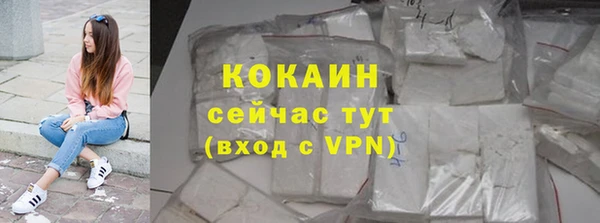 ECSTASY Елизово