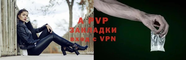 ПСИЛОЦИБИНОВЫЕ ГРИБЫ Ельня