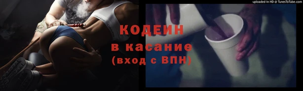 ПСИЛОЦИБИНОВЫЕ ГРИБЫ Ельня