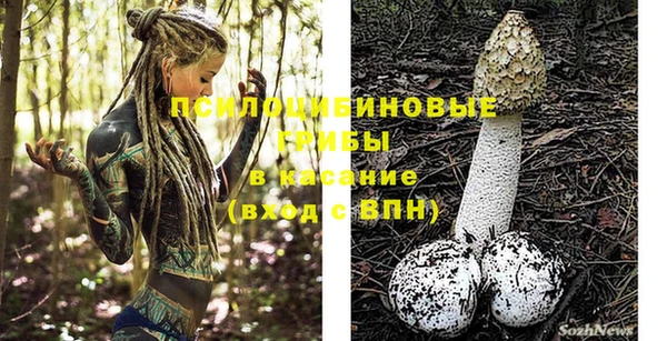 ПСИЛОЦИБИНОВЫЕ ГРИБЫ Ельня