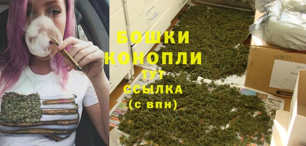 ECSTASY Елизово
