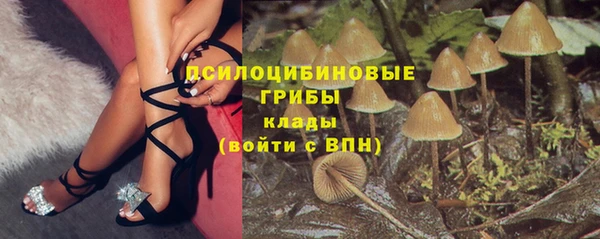 соль ск Ступино
