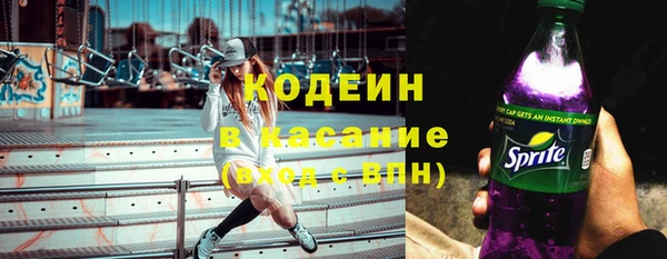 ПСИЛОЦИБИНОВЫЕ ГРИБЫ Ельня