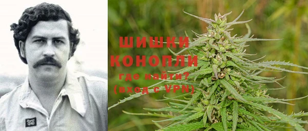ECSTASY Елизово