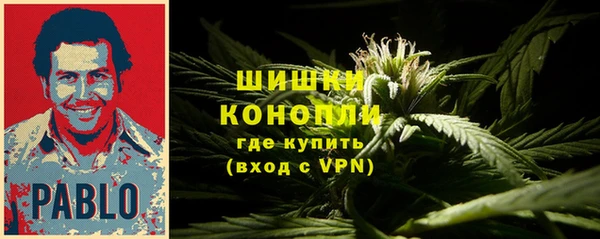 ПСИЛОЦИБИНОВЫЕ ГРИБЫ Ельня