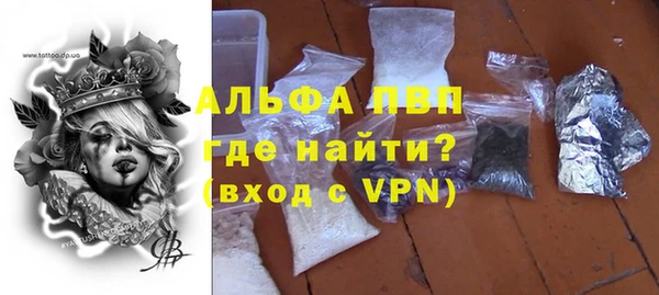 ПСИЛОЦИБИНОВЫЕ ГРИБЫ Ельня