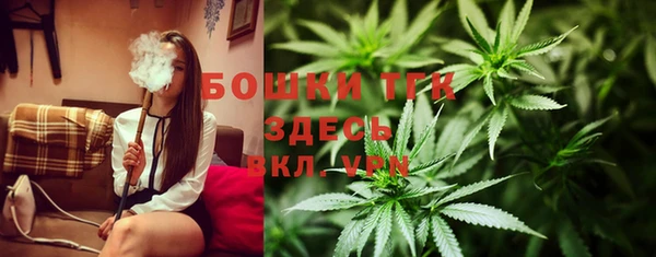 ПСИЛОЦИБИНОВЫЕ ГРИБЫ Ельня