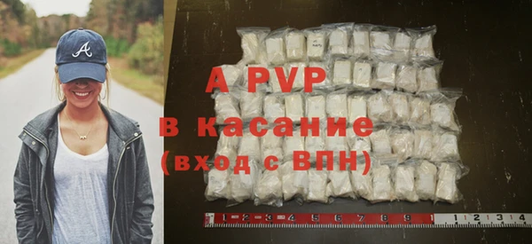 ECSTASY Елизово