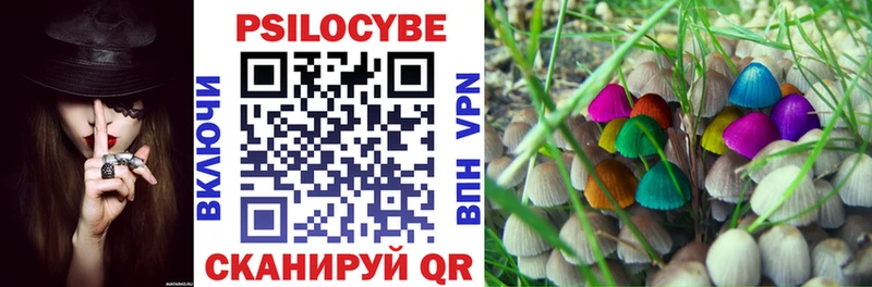 Галлюциногенные грибы мухоморы Новопавловск